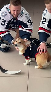 OMG 😍 #KHLPreseason | KHL