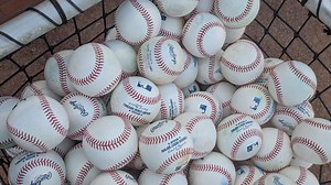 Shrimp Bites: What you need to know for Jumbo Shrimp series vs. Gwinnett