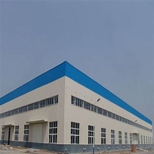 [Hot Item] High Quality Morden Automatic Steel Structure Pig Shed/Prefab House/Godown Manufacture