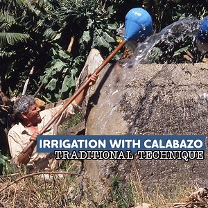 28K views · 933 reactions | Traditional technique of irrigation  | Eugenio Monesma Documentaries | Facebook