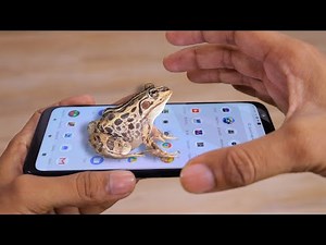 AR Animals App 2019