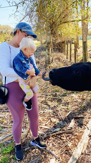 MacKenzie Smith on Instagram: "Just some wholesome cow content for your Saturday 🐄💕"