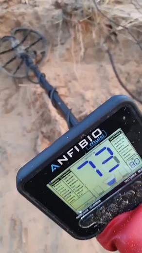 Metal Detecting Adventure: Searching for Hidden Treasures