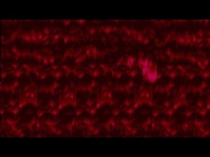 New confronting yourself Retake Midi (80% correct)