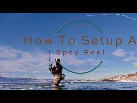 Basic Spey Reel Setup