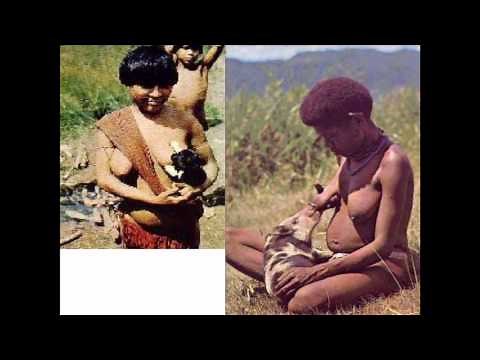 The Human-Animal Bond: Made for Each Other: Meg Daley Olmert at TEDxChesterRiver