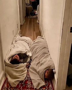 32K views · 27 reactions | I CAME HOME TO FIND MY KIDS SLEEPING IN...
