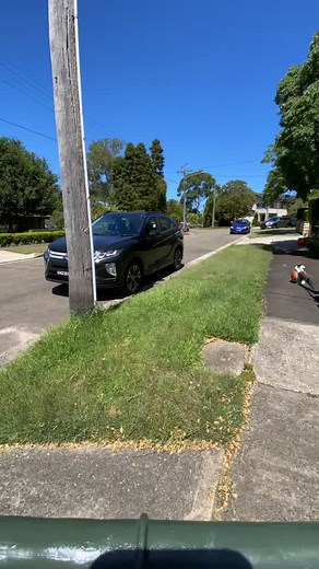 Overgrown nature strip getting some overdue attention #lawns #fyp #garden #satisfying #gardensoftiktok #lawnsoftiktok #lawntiktok #gardening