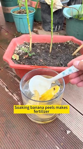 1.4K views · 11 reactions | Have you ever watered your plants using natural materials? Share your thoughts in the comments below . . . Drop ❤️ if you want more video like this #gardening #garden #gardeningtips #gardenlife #gardeninspiration #gardenideas #gardenlove #gardendesign #gardenersofinstagram #gardenersworld #gardenphotography #gardenlovers #gardenart #gardenbeauty #gardenplants #gardenviews #gardenersparadise #gardeningcommunity #gardenaddict | Garden Lovers | Facebook