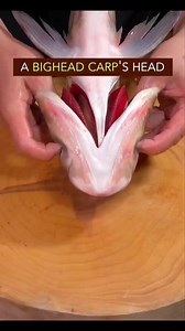 38K views · 212 reactions | Trending fish head with chopped chili pepper recipe in China. A classic central China dish. Do you have the guts to try #recipe #cooking #chinesefood #fishhead #carp #spicyfood | Street Food The World | Facebook