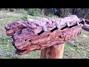 Railroad spike Coat Rack