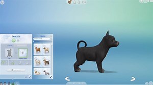 Sims 4 Cats And Dogs Free Download