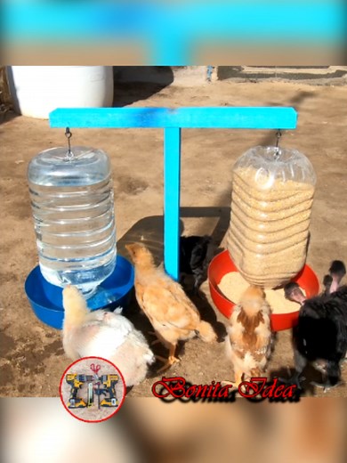 Comedero y bebedero automático casero para aves con materiales reutilizados