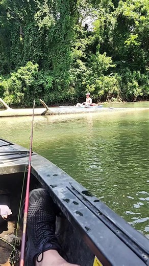 fins_feathers_antlers_ on TikTok