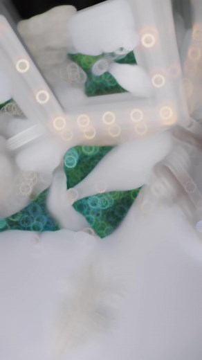 Crystal Radiance Crystals: Peridot AB, Fern, Emerald, Violet Fabric: Matte Kelly | Angel Competition Bikinis | Facebook