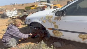 The Lizard Returns The Lizard's Revenge | COMBAT WOMBAT | Facebook