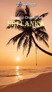 1.3K views | The beaches in Sri Lanka cater to all kinds of needs - upbeat nightlife favourite beaches, couple retreat beaches, offbeat explorations, family-friendly and a lot more! Plan your next beach vacation to Sri Lanka with Southern Travels. To know more, please call at 1800 11 0606 write at : tours@southerntravels.com Visit : www.southerntravels.com #southerntravels #travel #travelgoals #SriLanka #srilankabeaches #srilankatourism | SouthernTravels | Facebook
