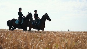 clip-1042556083-two-female-jockeys-on-their-horses-field