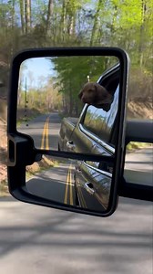 Captain biscuit | Decatur's Crabs | Facebook