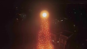 Be in awe of the tallest Christmas tree yet—a towering, mesmerizing cypress tree shimmering with gaiety! Watch as it dances gracefully with the gentle wind, exuding a delightful whiff of pine fragrances. 🌲✨ Visit it before the holiday season ends. #HolidayMagic #PaskoSaSonyas | Sonya's Garden