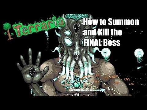 How to Summon and Kill the FINAL Boss - Terraria #38