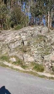 5K views · 170 reactions | Actualização: uma anónima pagou a cirugia. 﫶 Mais uma desgraçada cheia de tumores mamários e feridas no pescoço, recolhida por um membro da Addaf. Foi operada na quinta-feira para remover os tumores. Ficaram 130€ para pagar na clínica. Quem pode ajudar a liquidar a conta? Damos mbway da clinica para pagamento directo. Ficará em FAT até estar totalmente recuperada. | Associação de Defesa dos Direitos dos Animais e Floresta | Facebook