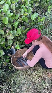 6.9K views · 18 reactions | Unique Oil Fishing Technique With Primitive Survival Skills #fishing | Survival with Emma | Facebook