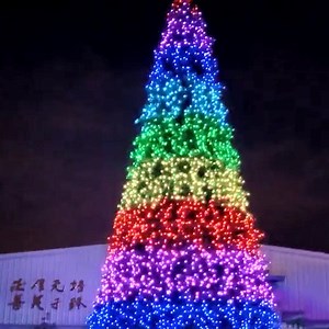 [Hot Item] LED Bullet Pixel Point String Ws2811 Waterproof Outdoor Address for Christmas Decoration