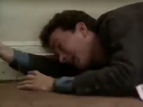 Turner & Hooch (1989)