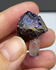 Bornite and quartz from Ait Ahmane (Morocco), repaired, size: 3 cm,...