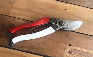 How to Sharpen Secateurs & Maintain Garden Snips - Garden Ninja: Lee Burkhill Garden Design