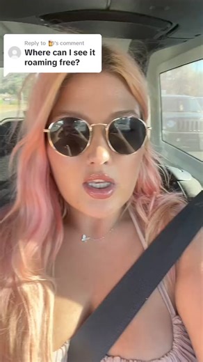 #fyp #viral #reels #fy | Merle Petty