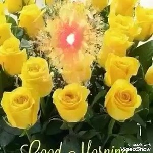 38K views · 678 shares | Tím chung tình on Reels | Facebook