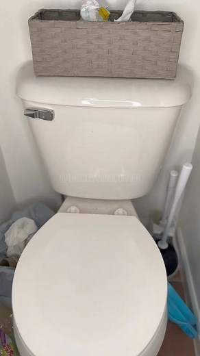 Clean the toilet with me because I have been neglecting my bathroom 🫠 Hopefully this helps keep the #cleaningobsessed #cleaningsupplies #commercialcleaning #officecleaning #cleaningaccount | Pure Clean