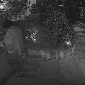 What on earth is going on here? 🐰 | Tubi