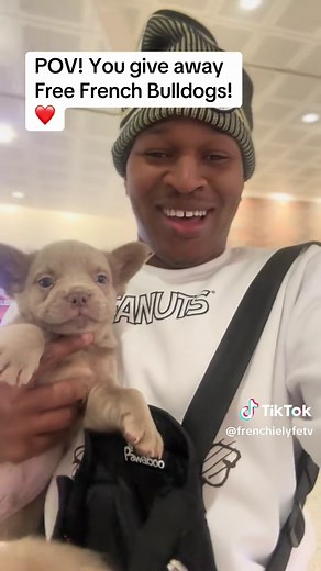 Frenchie boyz on TikTok