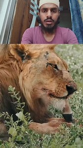 602K views · 3.6K reactions | O no #dhpacheet #wildlifeplanet #naturelovers #jangli #wildanimals #wild #Jungl #naturephotographyre #pacheet #जँगली | Jungle Book | Facebook