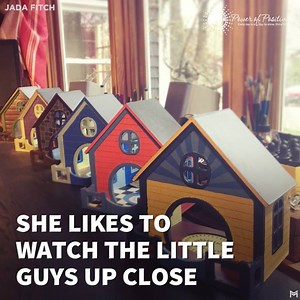 These are the best bird houses I've ever seen! | Power of Positivity