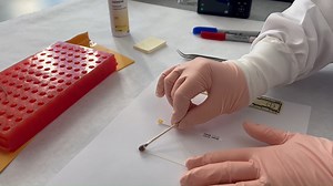 For Forensic Science Week, the OSBI is highlighting a new lab tour series to take you behind the scenes and showcase the great work our team performs. With each video, we will present a different section of the lab system. Today, we are exhibiting our Forensic Biology Unit. You can see all our videos by visiting: https://osbi.ok.gov/forensic-services We are "Protecting Oklahoma one Partnership at a time." #OSBI #OneTeamOneMission | Oklahoma State Bureau of Investigation - Authorized Page