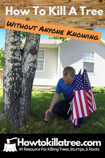 How To Kill A Tree Without Anyone Knowing | Backyardables