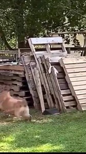 3.7K views · 53 reactions | Having fun together  | Funniest And Craziest Videos | Facebook