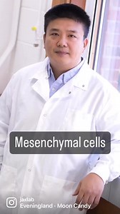 🫁 Why are the lungs relatively more receptive to tumor metastasis? Two recent papers from JAX's Ren lab (in Cell Metabolism & Science Immunology) focus on how mesenchymal cells assist lung metastasis by breast tumor cells, showing that they promote immunosuppression and provide metastatic cells with lipid fuel that helps them thrive: www.jax.org/news | The Jackson Laboratory