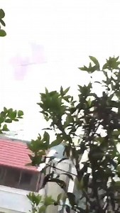 Huge explosion in Beirut shatters windows and rocks buildings | SIN | Facebook