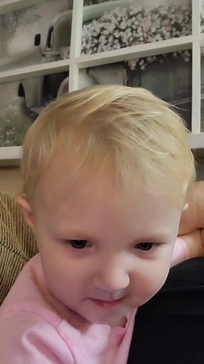 The Shabby Shack on Reels