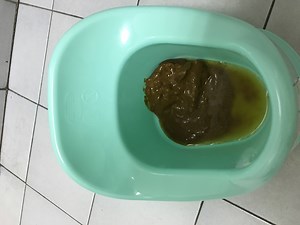 I poop in the potty 2