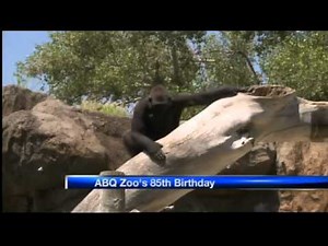 Rio Grande Zoo turns 85
