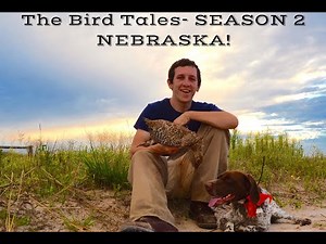 Nebraska Prairie Grouse Opener-The Bird Tales #18