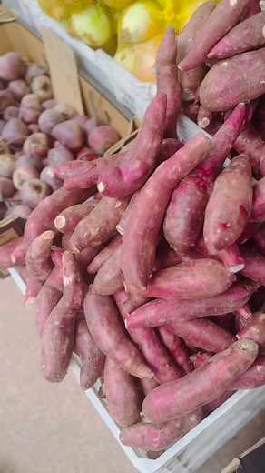 Inala Market Brisbane, buying some sweet potatoes,Kaukau | Dorothy Walua