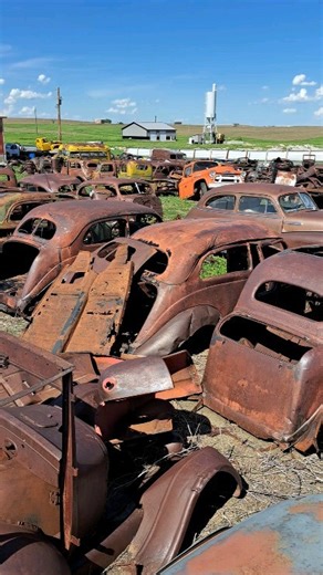6.2K views · 4.7K reactions | Yard view at Dolloff Antiques in Murdo,SD. . . . #dolloffantiques #southdakota #ratrod #rustlord #rustygold #antiquecarparts #antiqueauto #collectorcars #oldtruck #collectortrucks #salvageyard #junkyard #ford #Chevy #vintage | Dolloff Antiques Collector Car & Truck Parts | Facebook