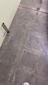 Pure underwater eye candy! 👀✨ Our Japanese Tosai Koi are as stunning as they are healthy—now ready to ship to your pond! 🌊 #genkikoi #koifish #Koi #KoiPond #KoiLover #KoiLife #koilove #koilovers #FishTok #Aquarium #PondLife #WaterGarden #RelaxingNature #koishow #KohakuKoi #Nishikigoi #JapaneseKoi #LuxuryKoi #KoiBreeder #LiveFishShipping #KoiFarm #KoiUSA #FishBusiness #OddlySatisfying #ASMR #SmallBusiness #Unboxing #BeforeAndAfter | Genki Koi Inc